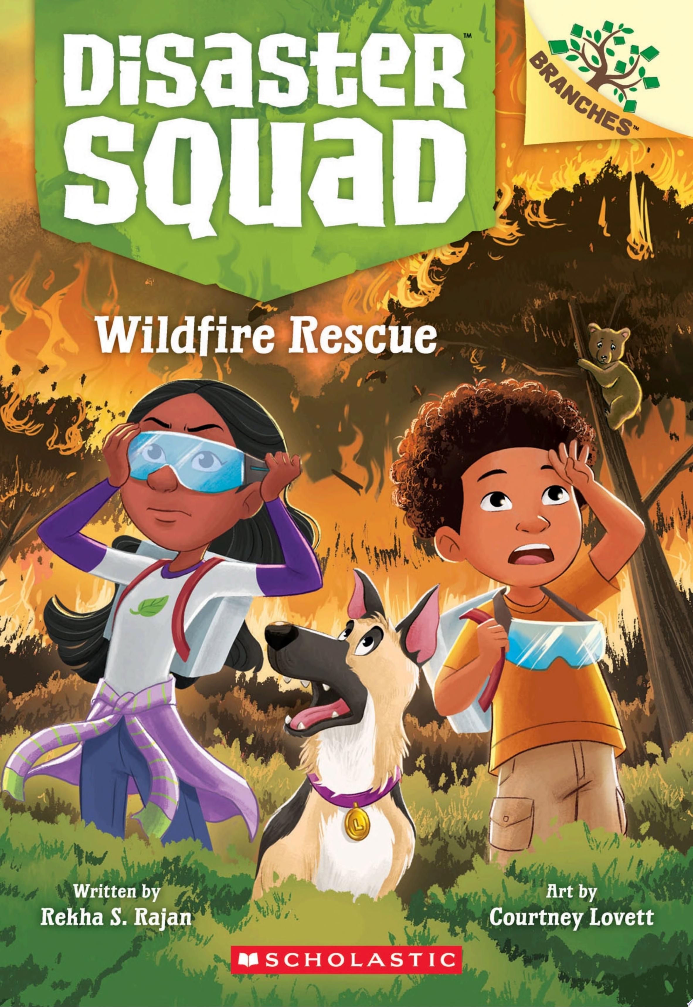 Image for "Wildfire Rescue: A Branches Book (Disaster Squad #1)"