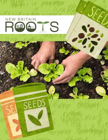 New Britain Roots logo on a green background surrounding an image of hands planting seedlings